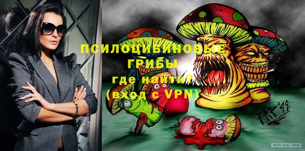 a pvp Богородицк